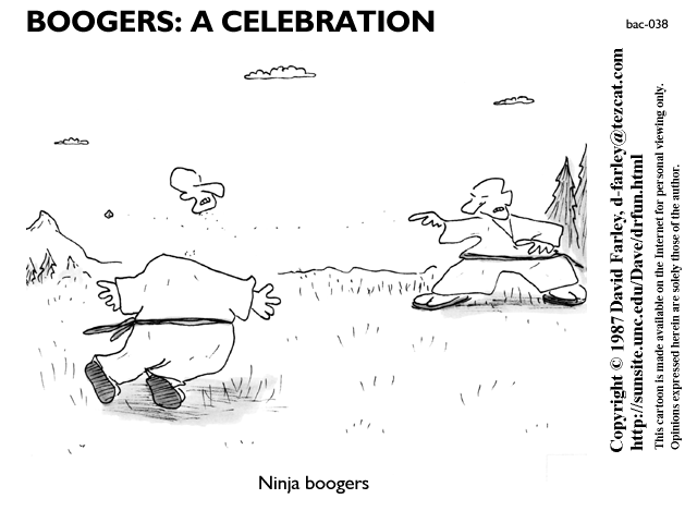 Ninja boogers