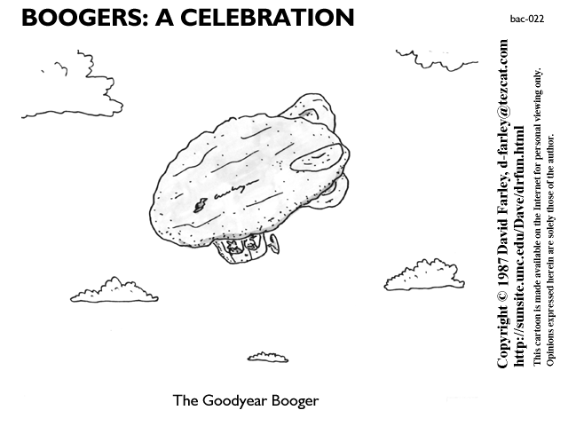 The Goodyear Booger