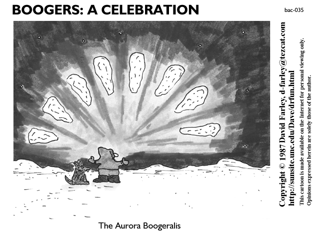 The Aurora Boogeralis