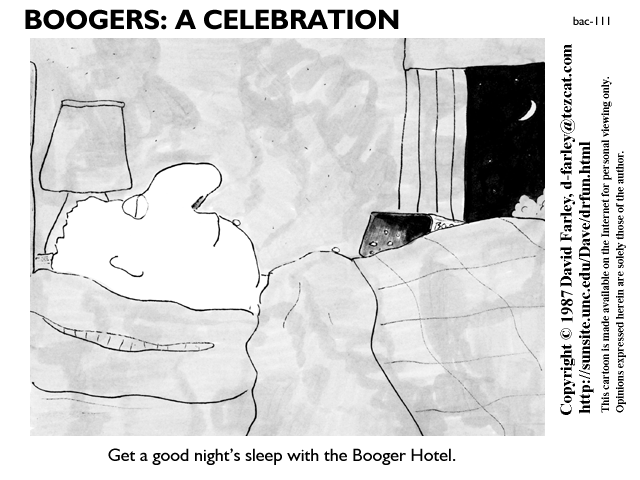 Get a good night's sleep with the Booger Hotel.