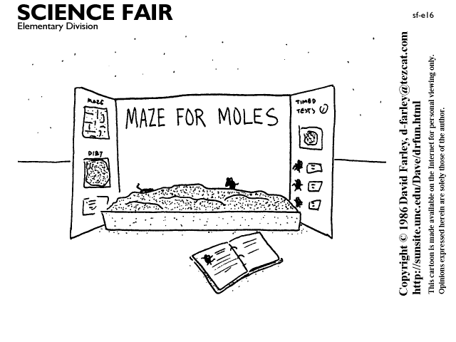 Maze for moles