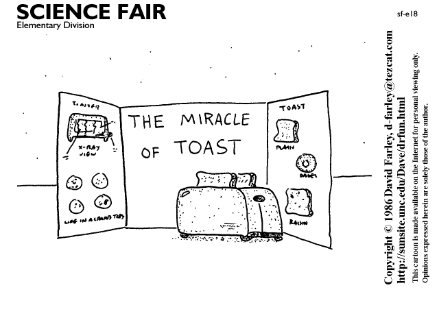 The miracle of toast