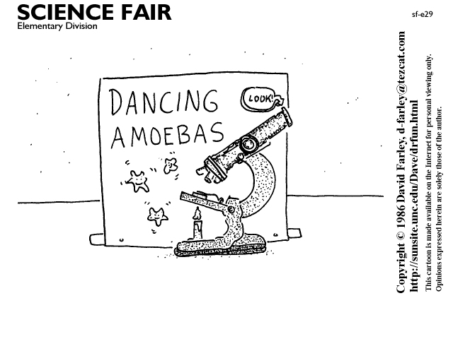 Dancing amoebas