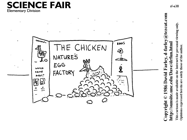 The chicken: nature's egg factory