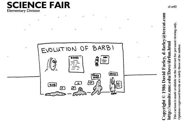 Evolution of Barbi