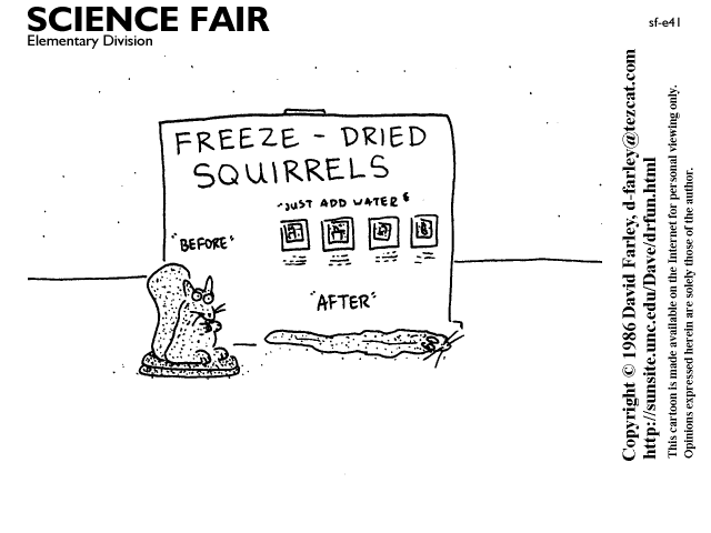 Freeze-dried squirrels