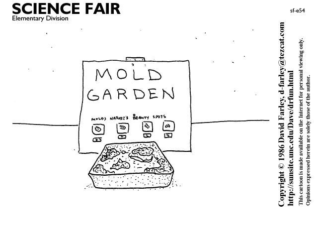 Mold garden