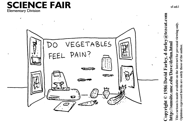 Do vegetables feel pain?